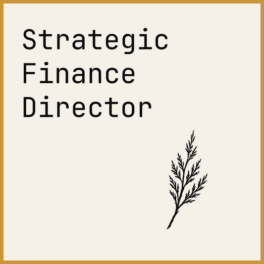 Strategic Finance Director