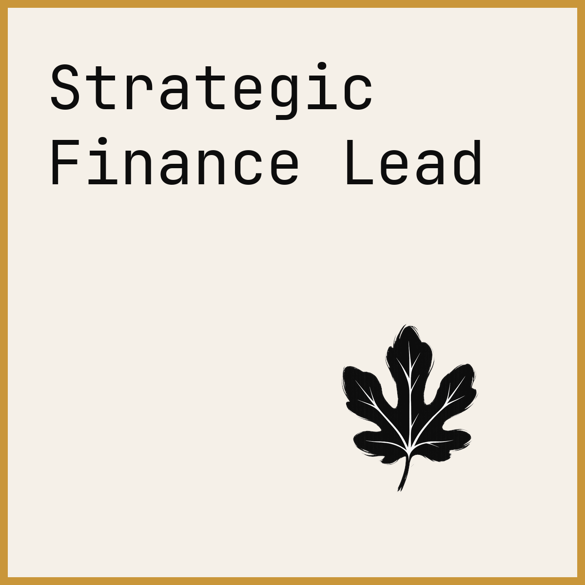 Strategic Finance Lead