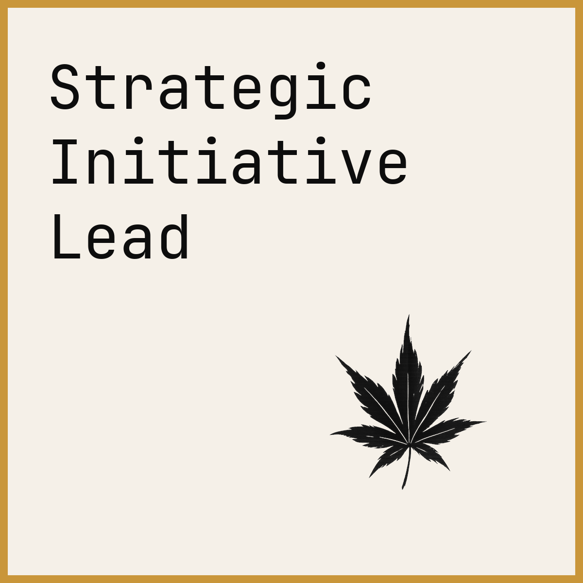 Strategic Initiative Lead