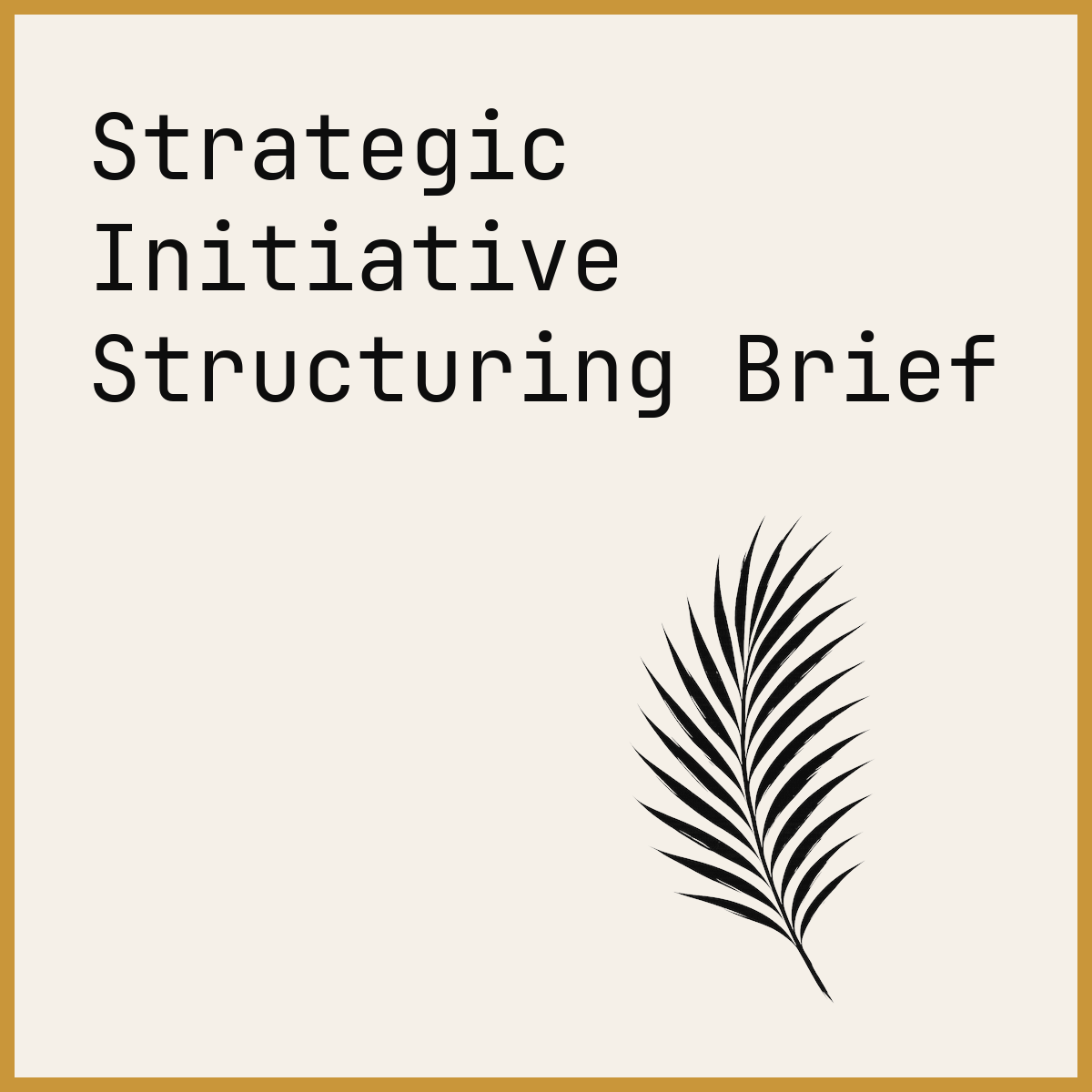 Strategic Initiative Structuring Brief