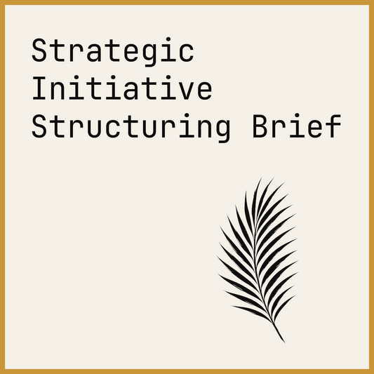 Strategic Initiative Structuring Brief