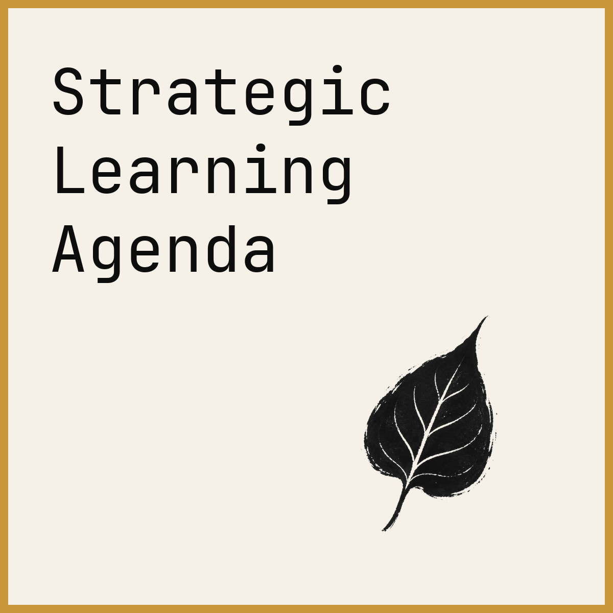 Strategic Learning Agenda