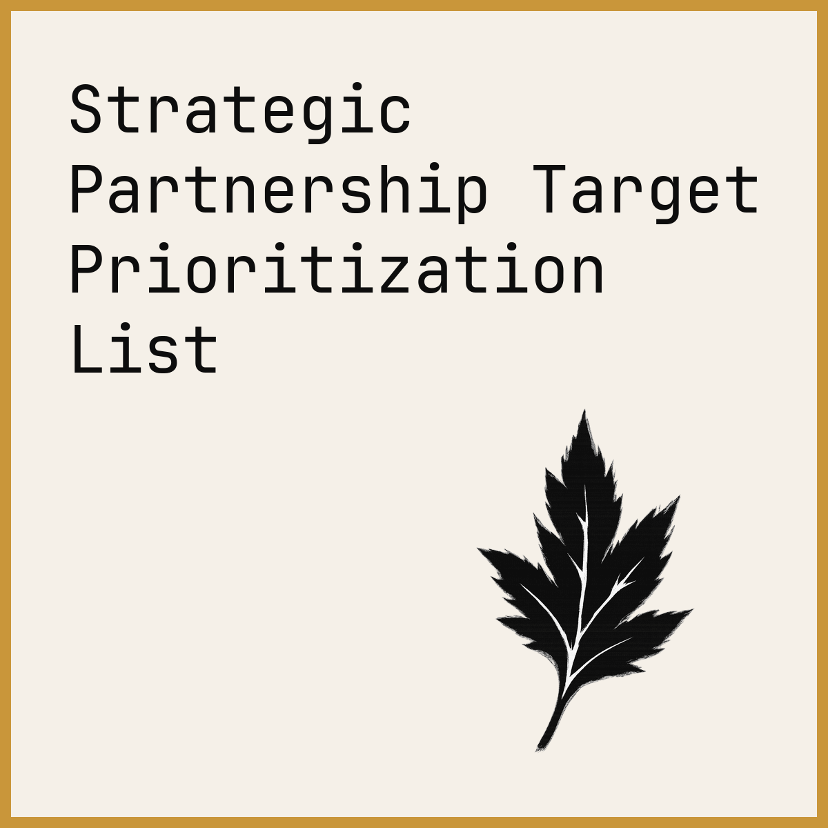 Strategic Partnership Target Prioritization List