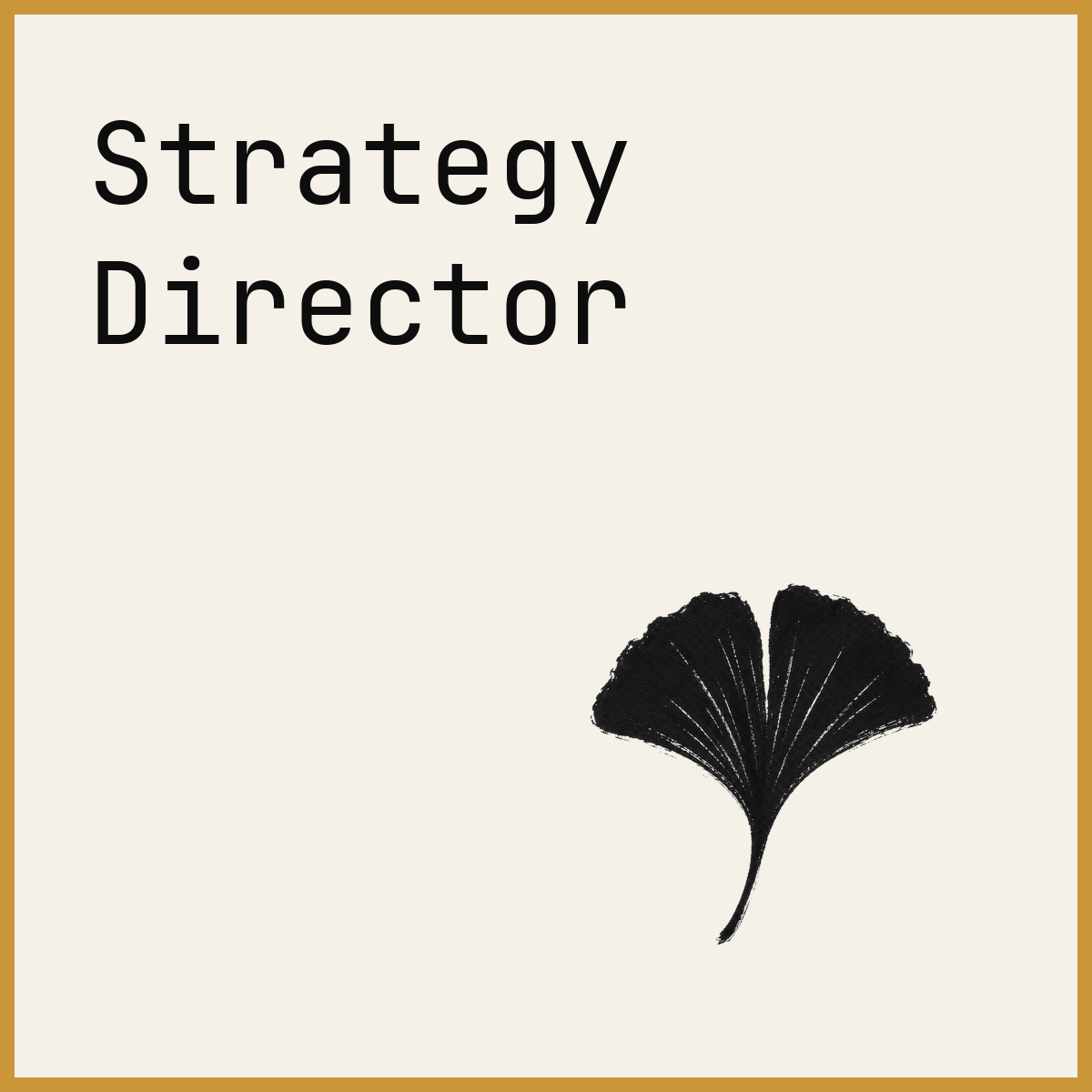 Strategy Director