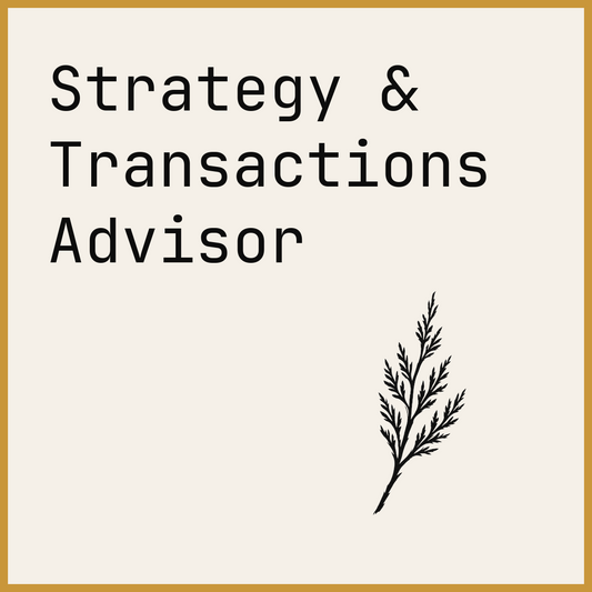 Strategy & Transactions Advisor