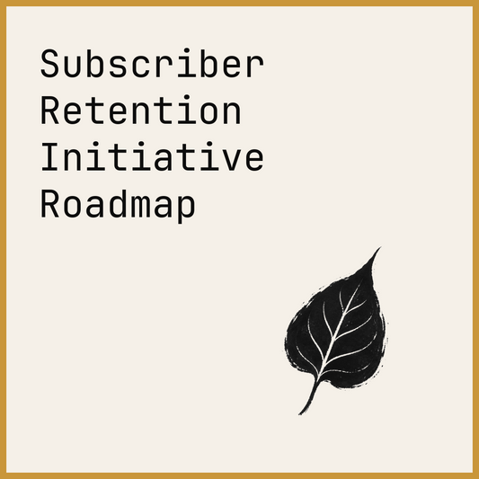 Subscriber Retention Initiative Roadmap