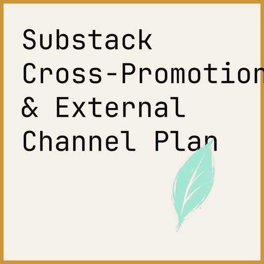 Substack Cross-Promotion & External Channel Plan
