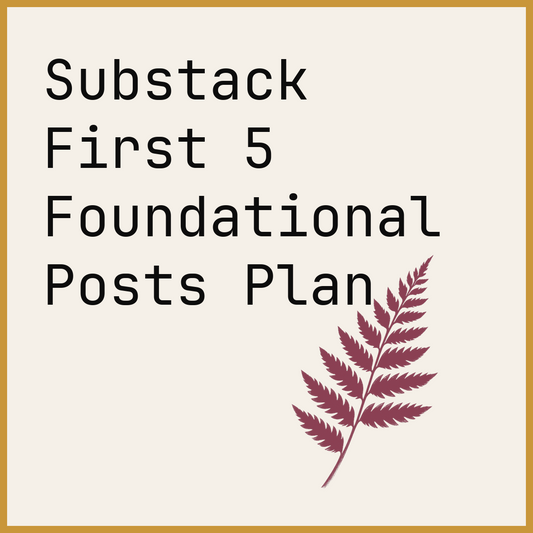 Substack First 5 Foundational Posts Plan