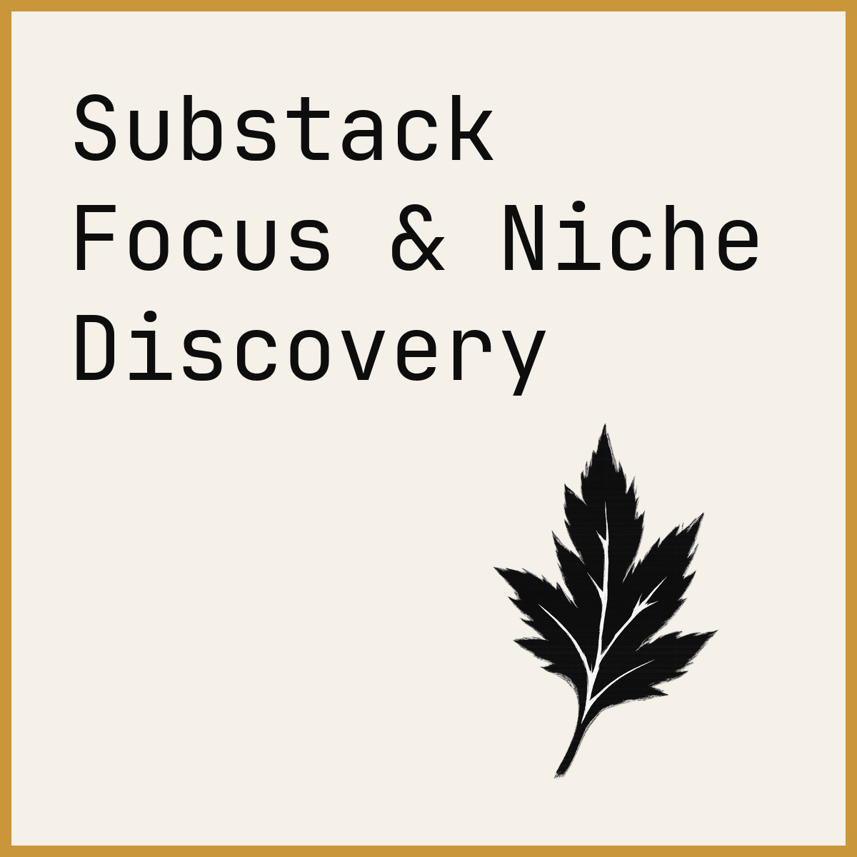 Substack Focus & Niche Discovery