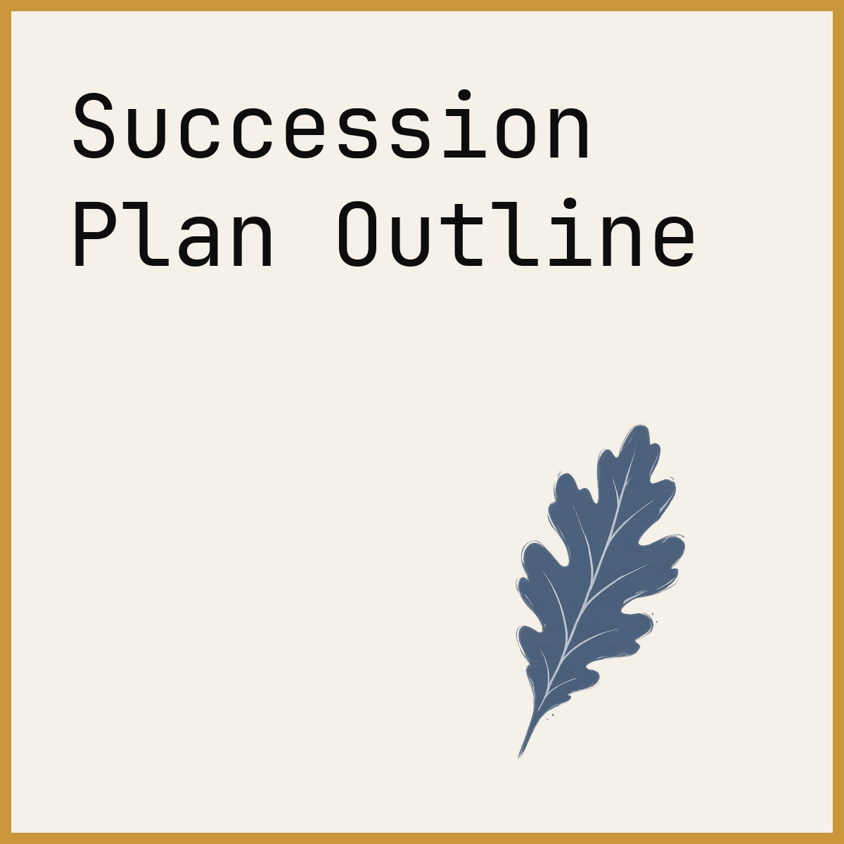 Succession Plan Outline