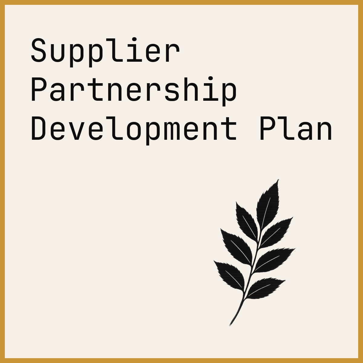 Supplier Partnership Development Plan
