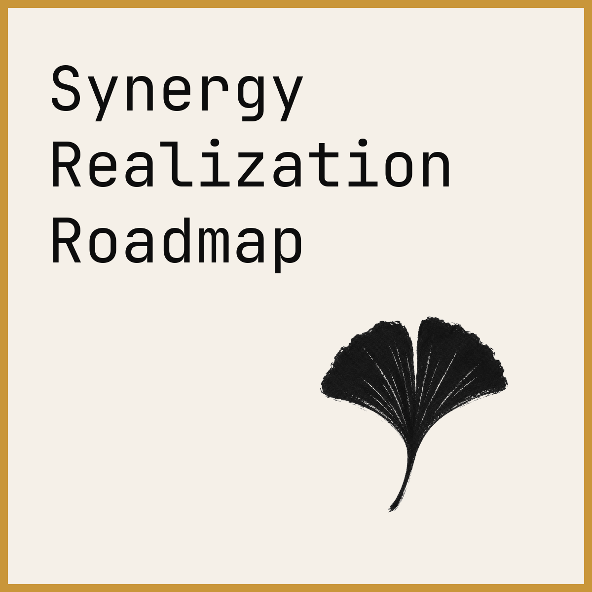 Synergy Realization Roadmap