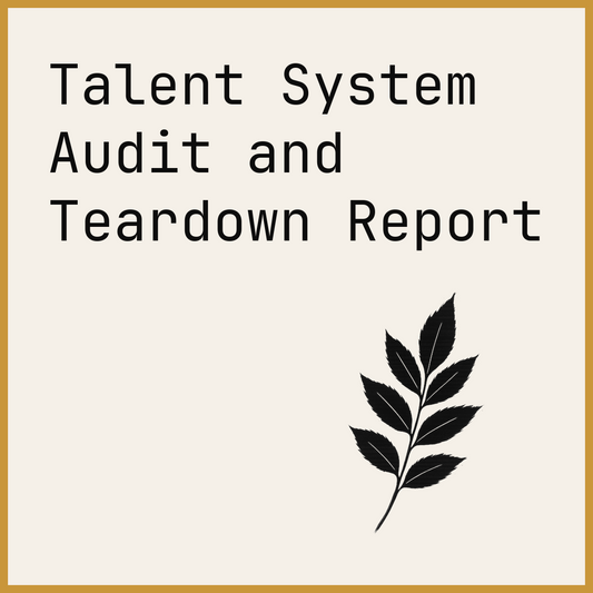 Talent System Audit and Teardown Report