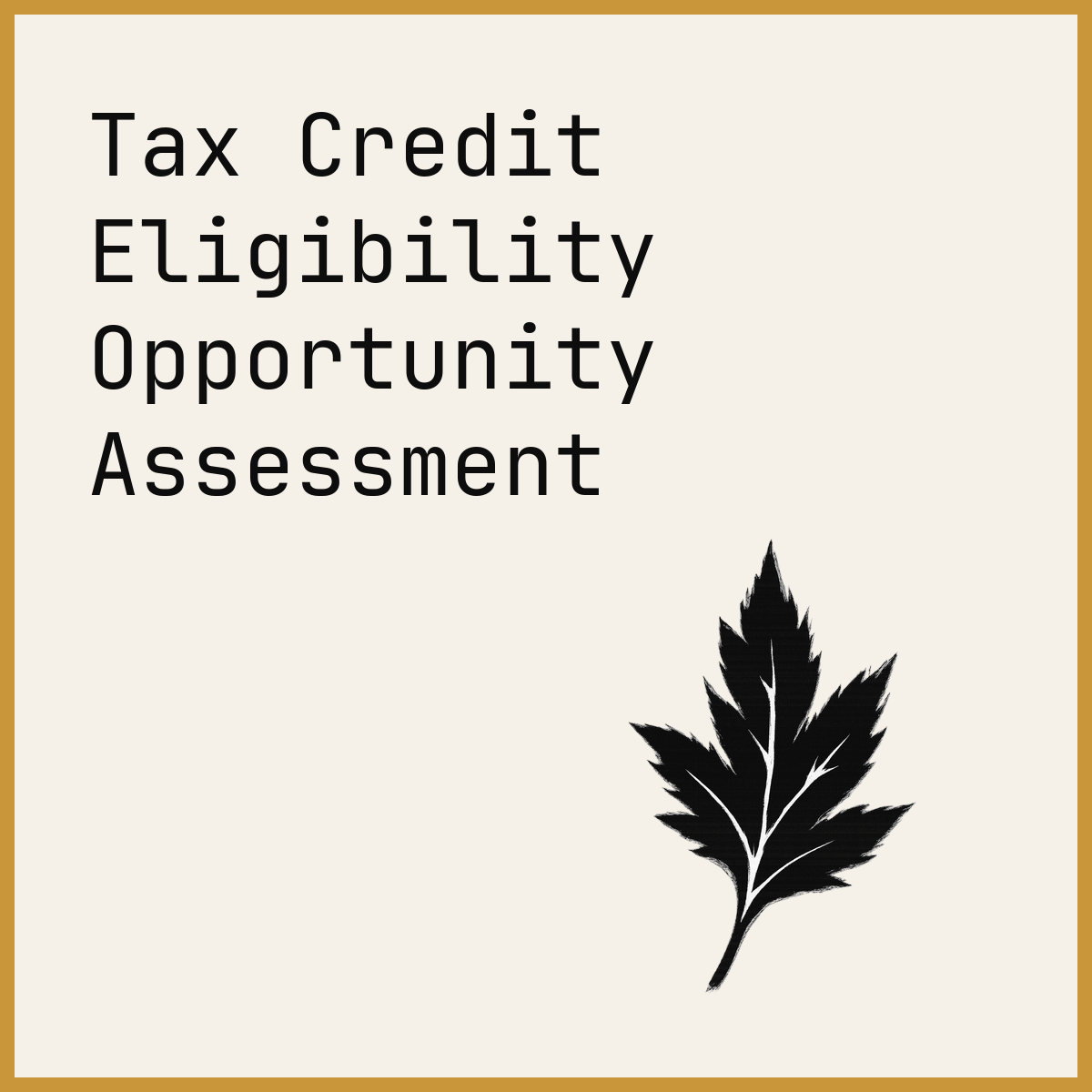 Tax Credit Eligibility Opportunity Assessment