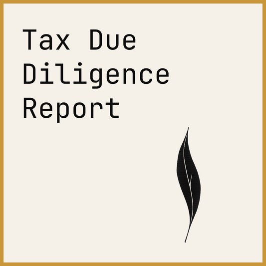 Tax Due Diligence Report
