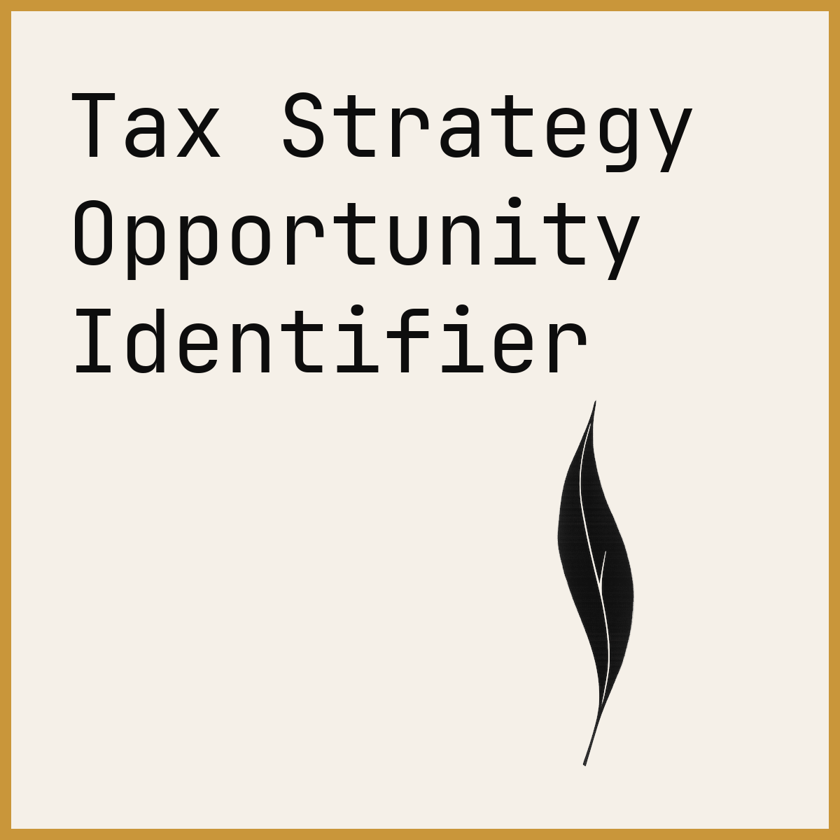 Tax Strategy Opportunity Identifier