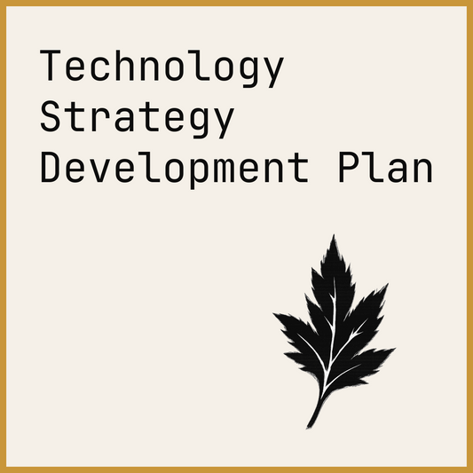 Technology Strategy Development Plan