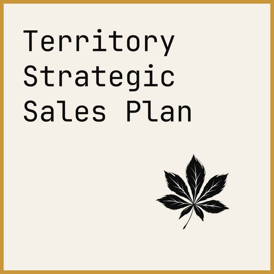 Territory Strategic Sales Plan
