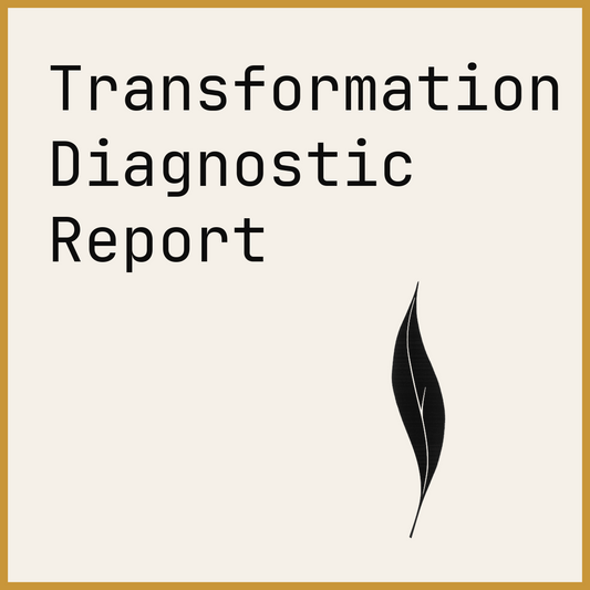 Transformation Diagnostic Report