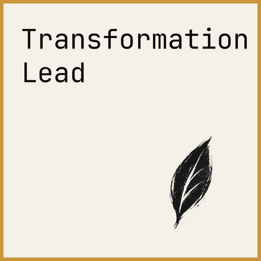 Transformation Lead