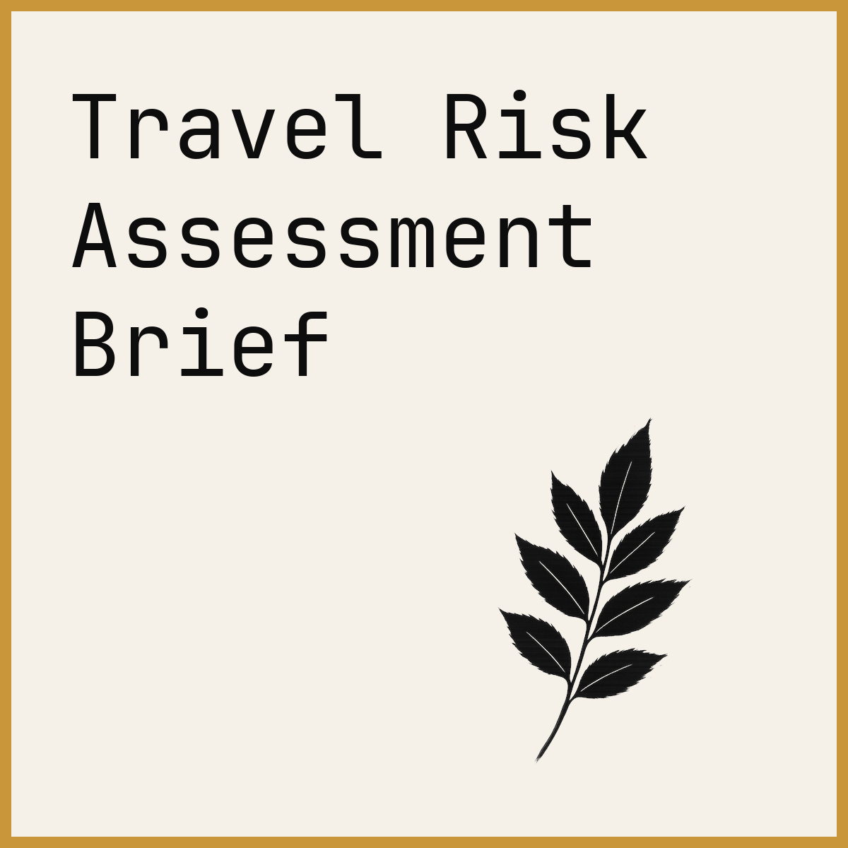 Travel Risk Assessment Brief