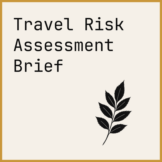 Travel Risk Assessment Brief
