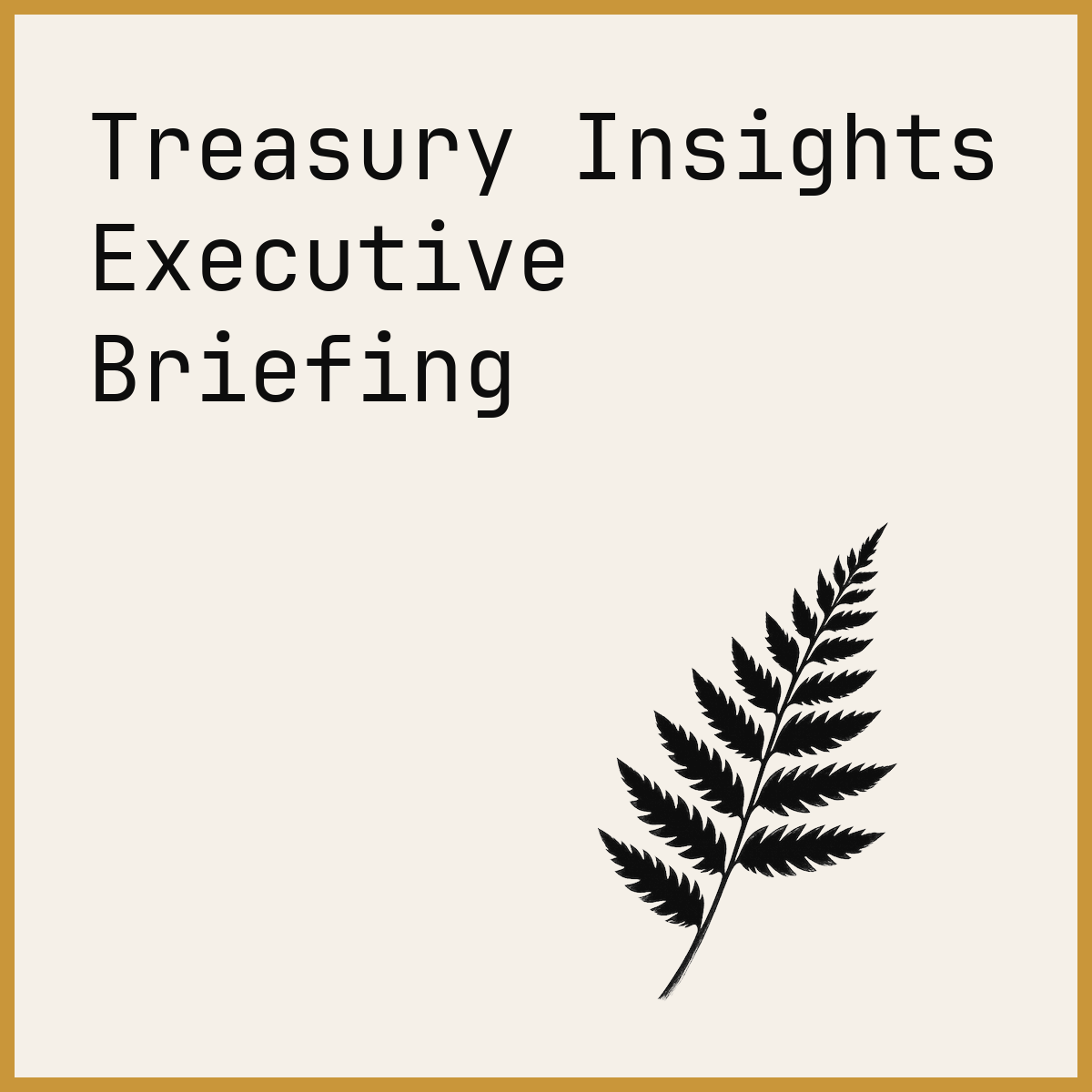 Treasury Insights Executive Briefing