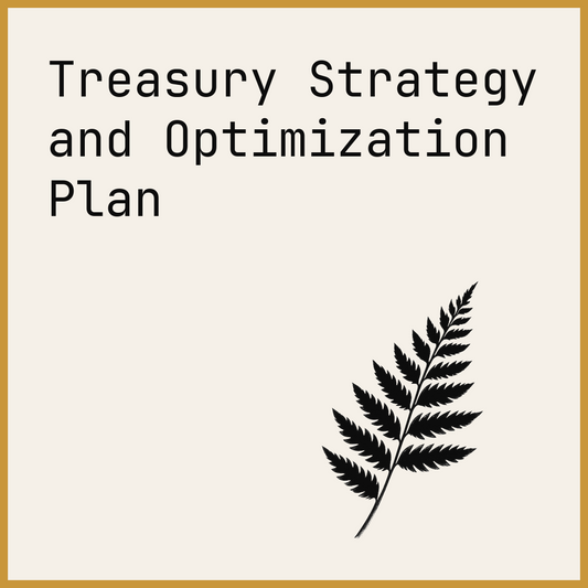 Treasury Strategy and Optimization Plan