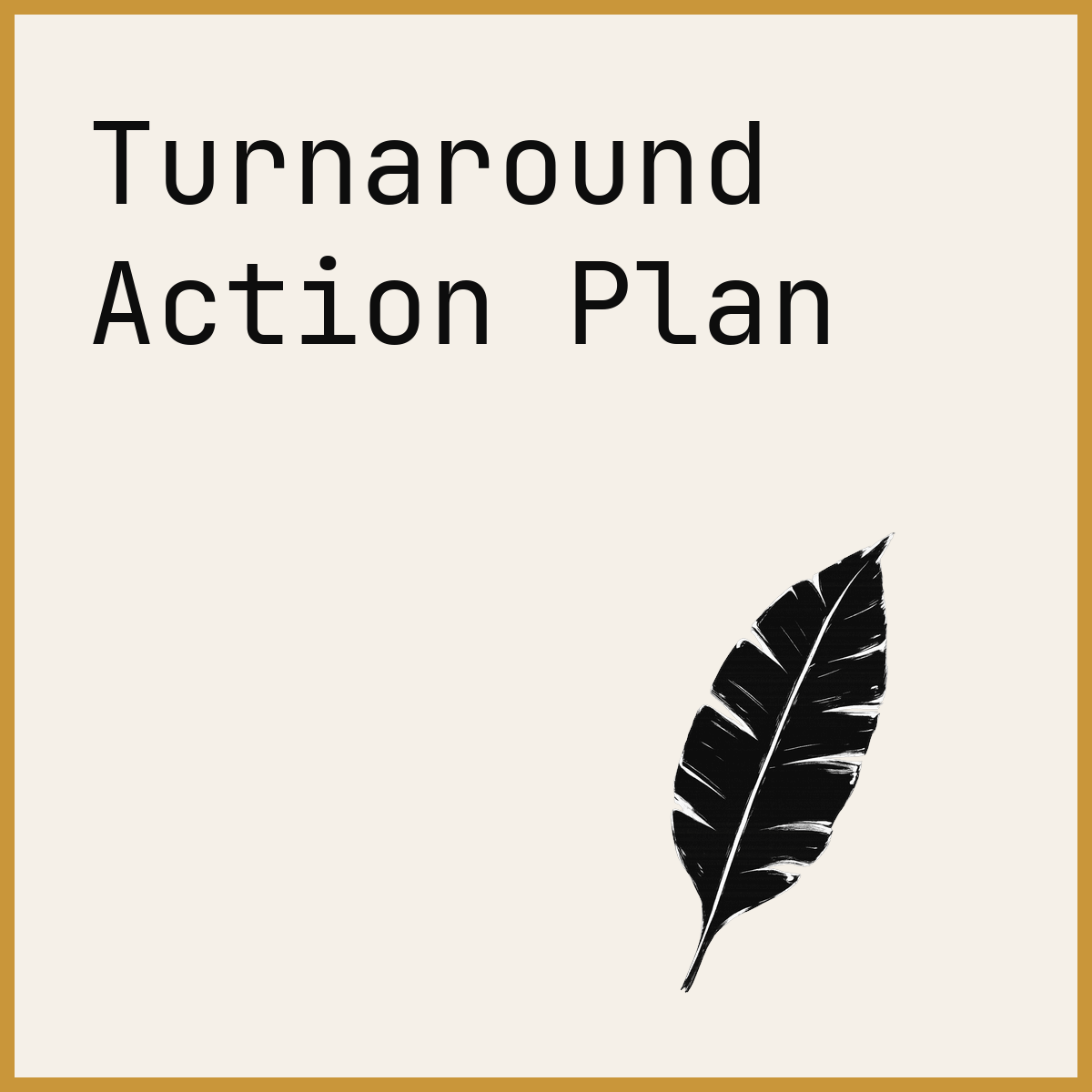 Turnaround Action Plan