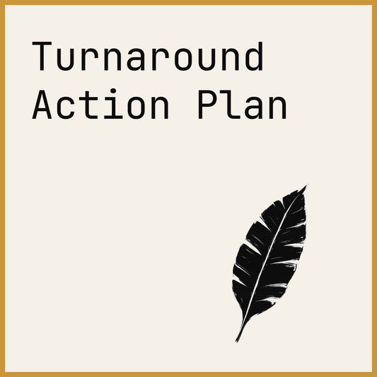 Turnaround Action Plan