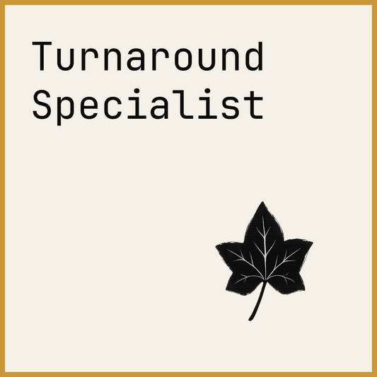 Turnaround Specialist