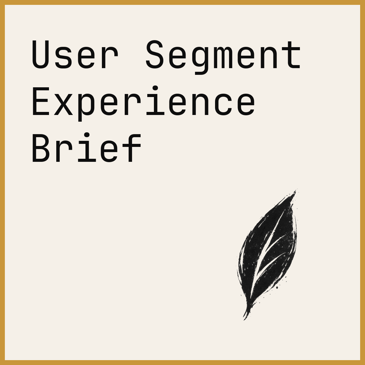 User Segment Experience Brief