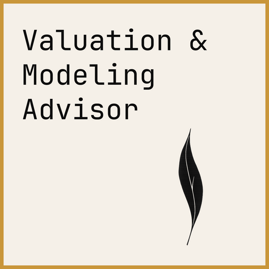 Valuation & Modeling Advisor