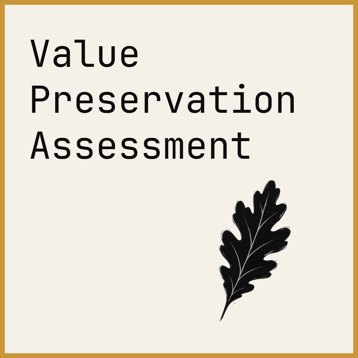 Value Preservation Assessment