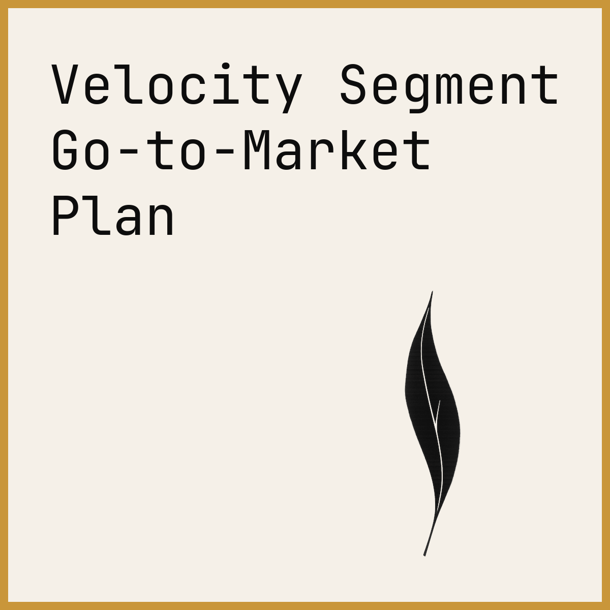Velocity Segment Go-to-Market Plan