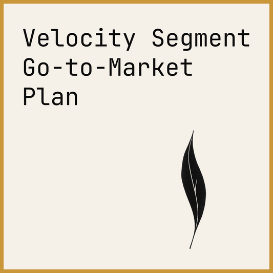 Velocity Segment Go-to-Market Plan