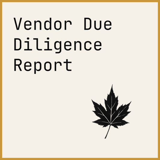 Vendor Due Diligence Report