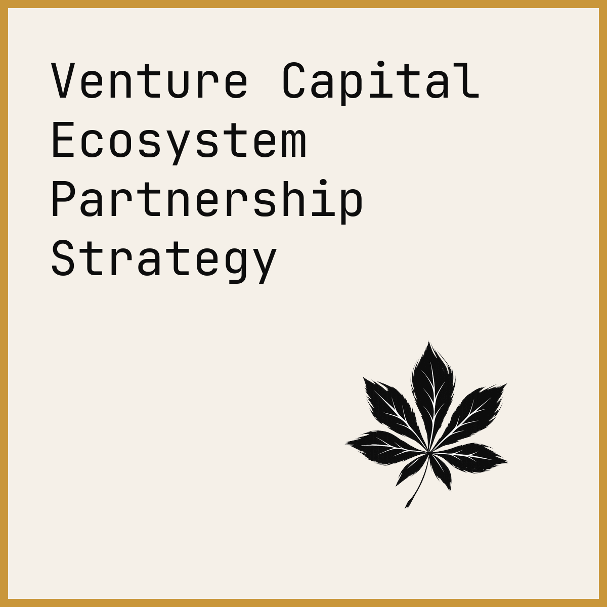 Venture Capital Ecosystem Partnership Strategy