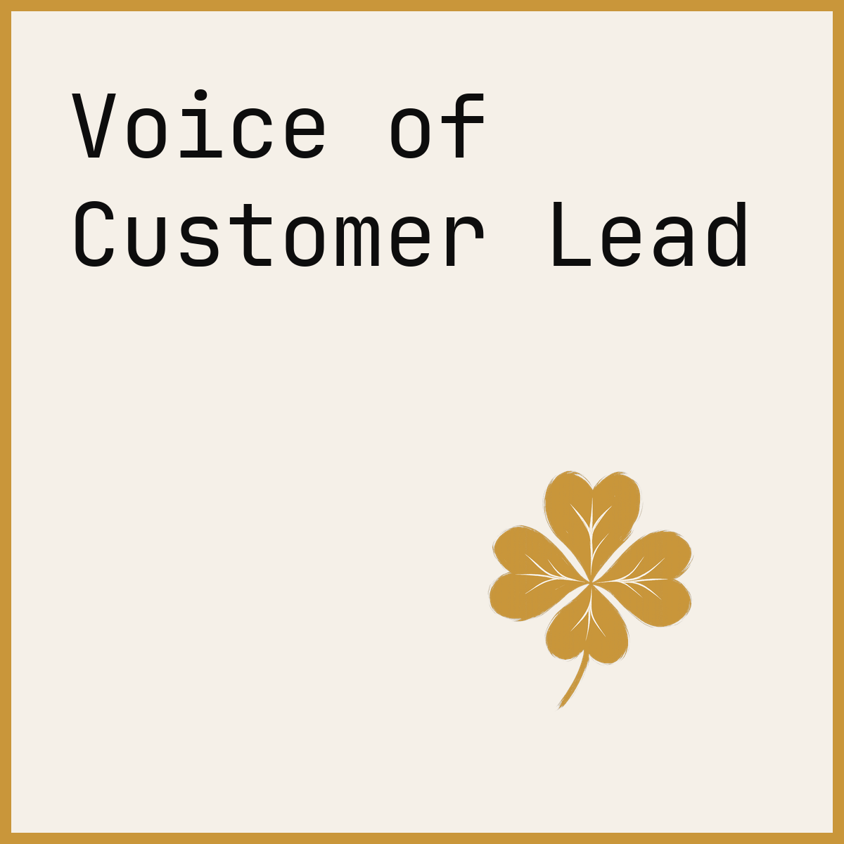 Voice of Customer Lead