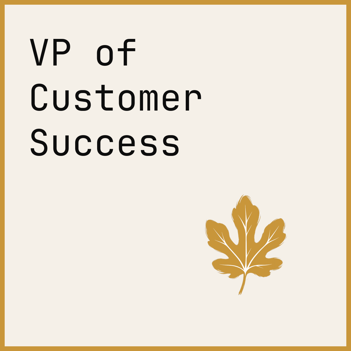 VP of Customer Success
