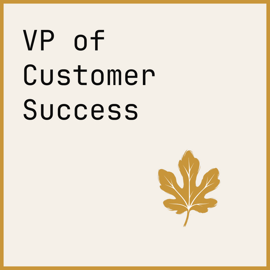 VP of Customer Success