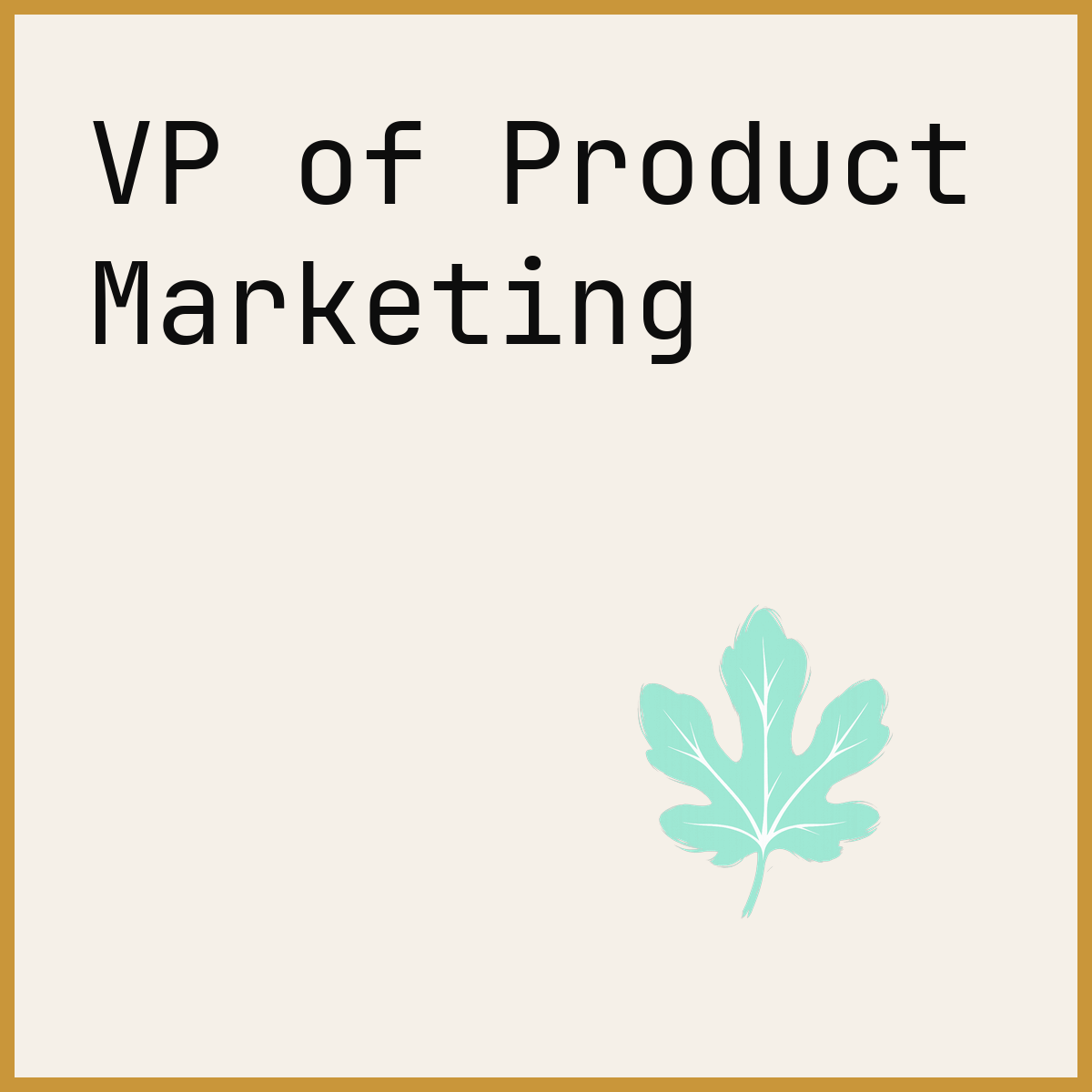VP of Product Marketing