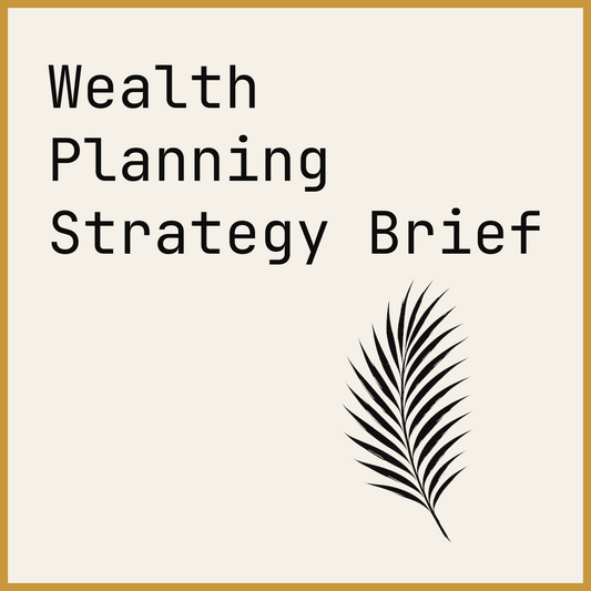 Wealth Planning Strategy Brief