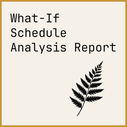 What-If Schedule Analysis Report