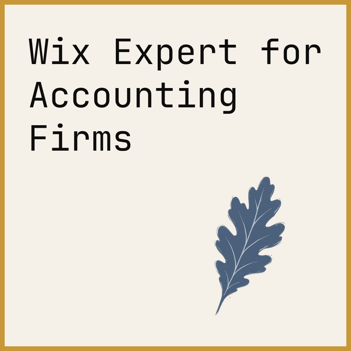 Wix Expert for Accounting Firms