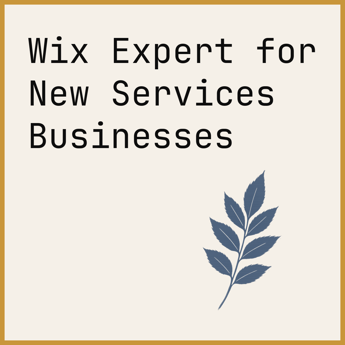 Wix Expert for New Services Businesses
