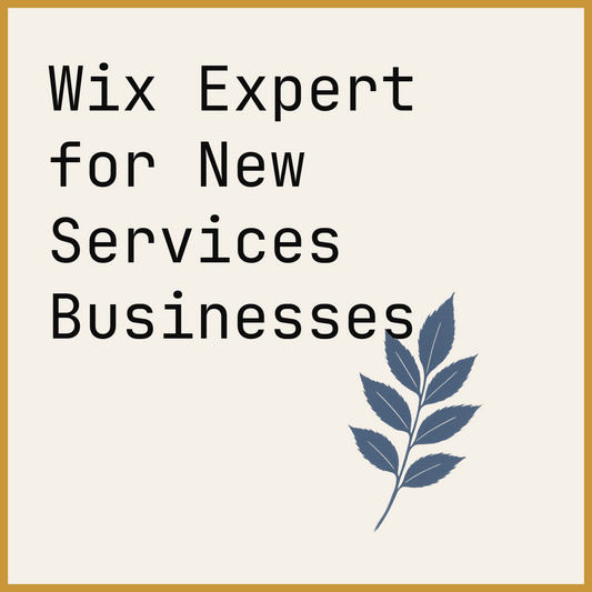 Wix Expert for New Services Businesses