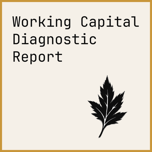 Working Capital Diagnostic Report