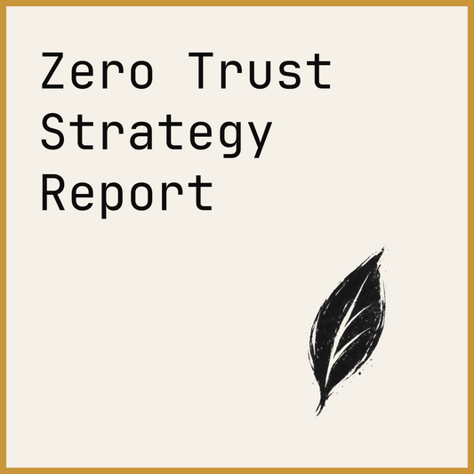 Zero Trust Strategy Report